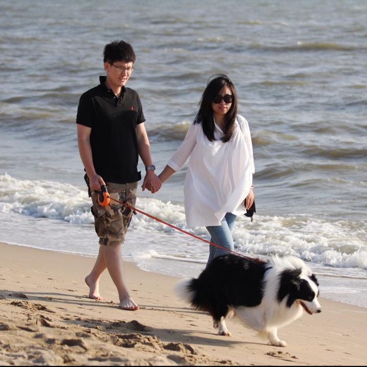 边爱犬舍