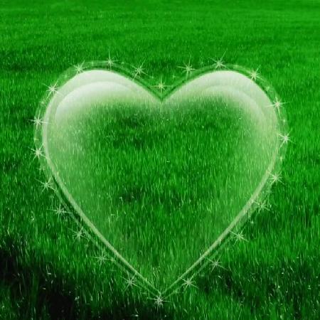 永川芳芳🎀🐇