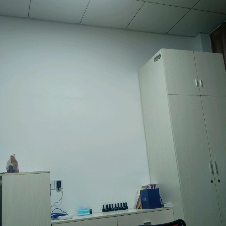 随意而安