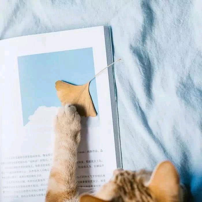 水果生鲜产地直采