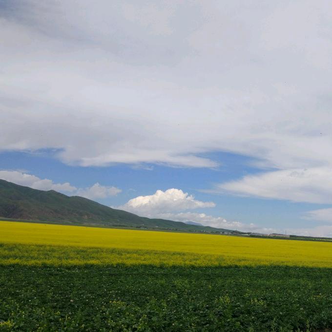 在那遥远的地方