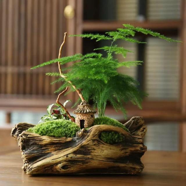 淡定