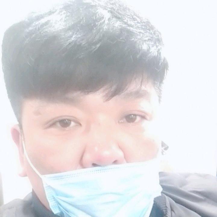 单只蝴蝶