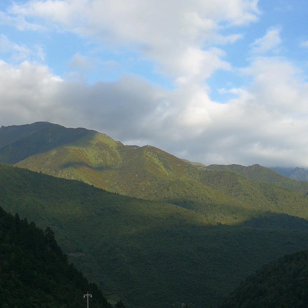 悠悠哉