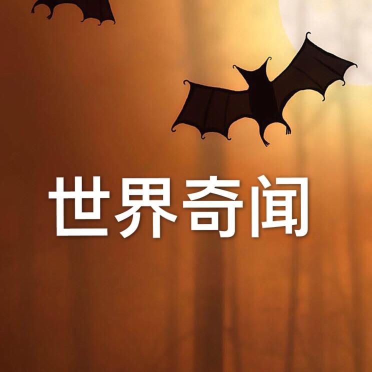 历史解读.