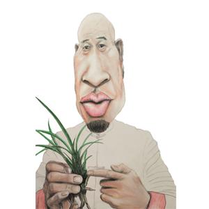 兰花小讲堂