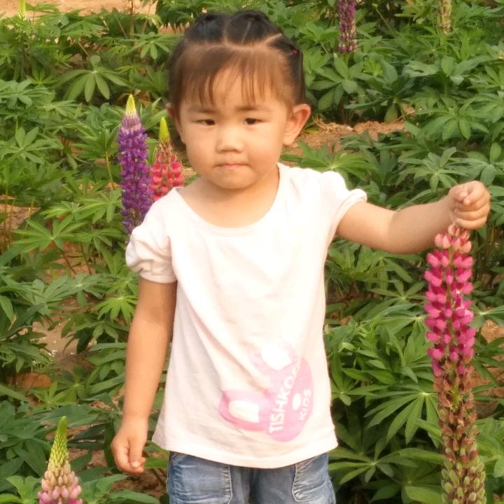 哪里需要哪里去