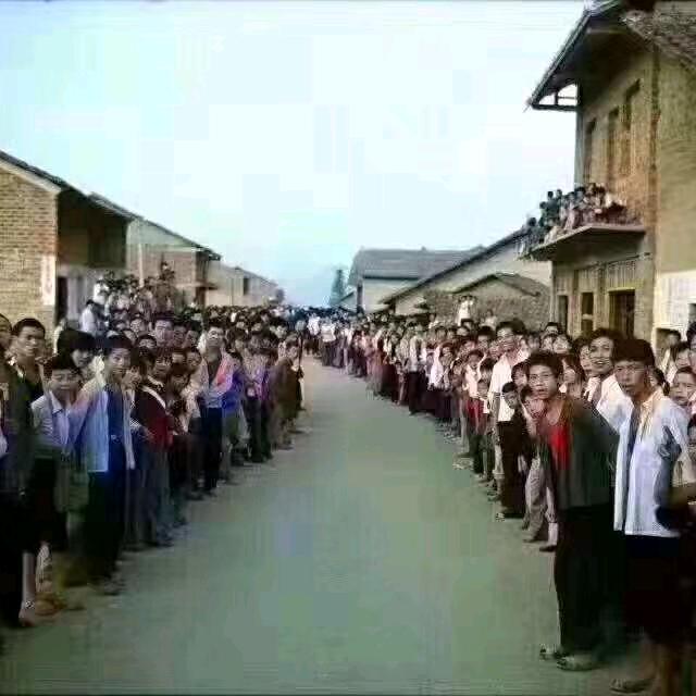 努力搬砖