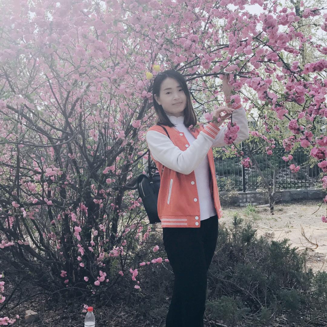 守护呵呵的爱丽丝