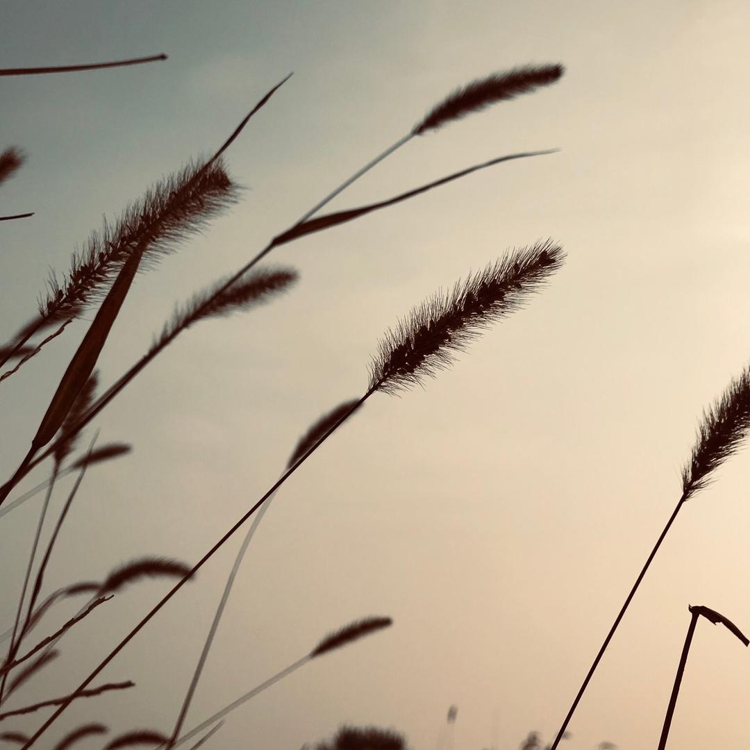 七八九月的天气