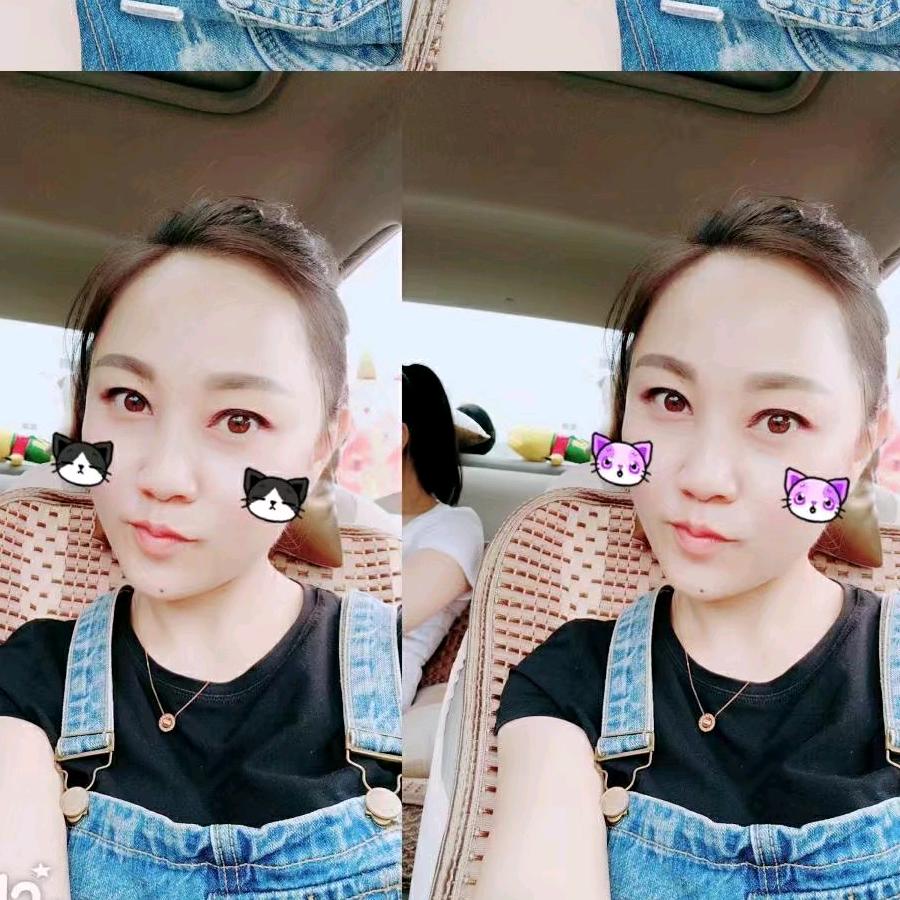 菊274602731