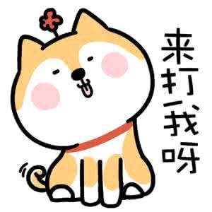 云核潮玩数码