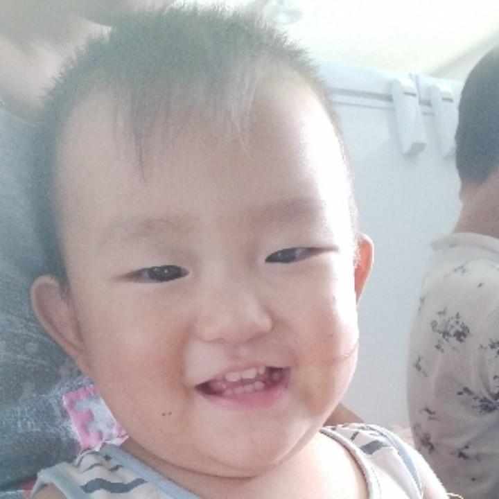 柏林庄海信苗苗