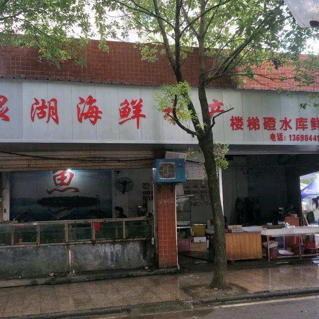 飘回莲花