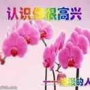 善良浪漫