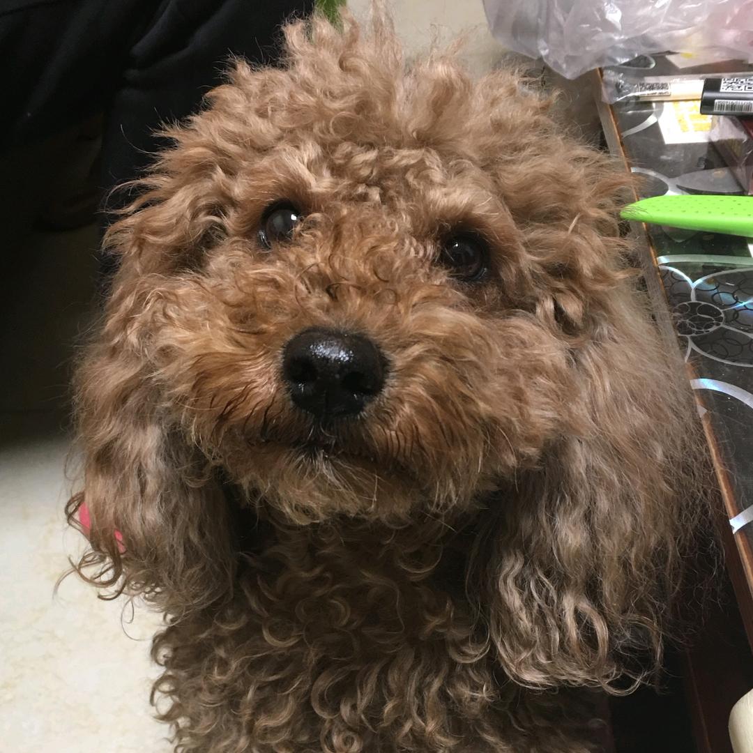 陌上花开