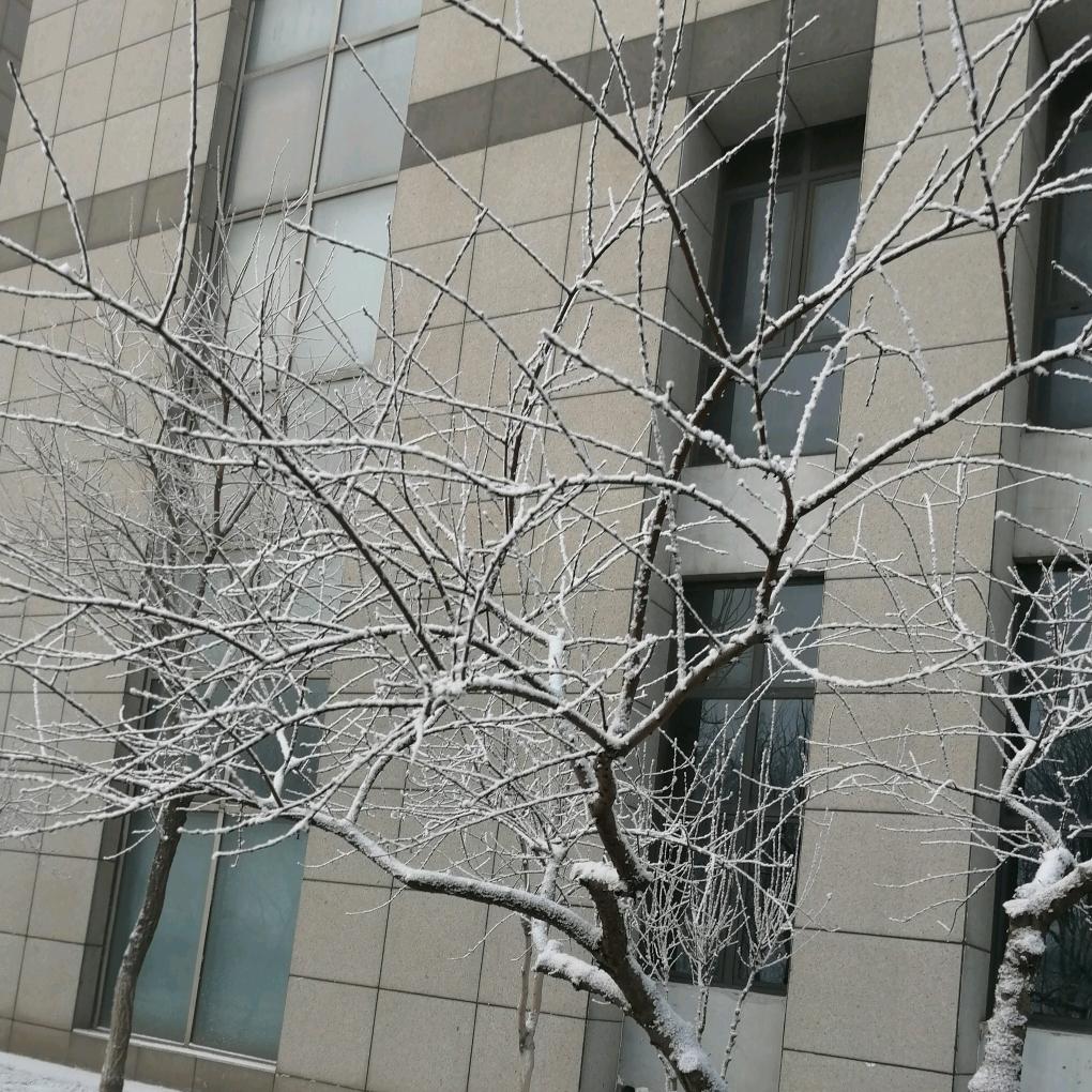 霸波儿奔波儿灞