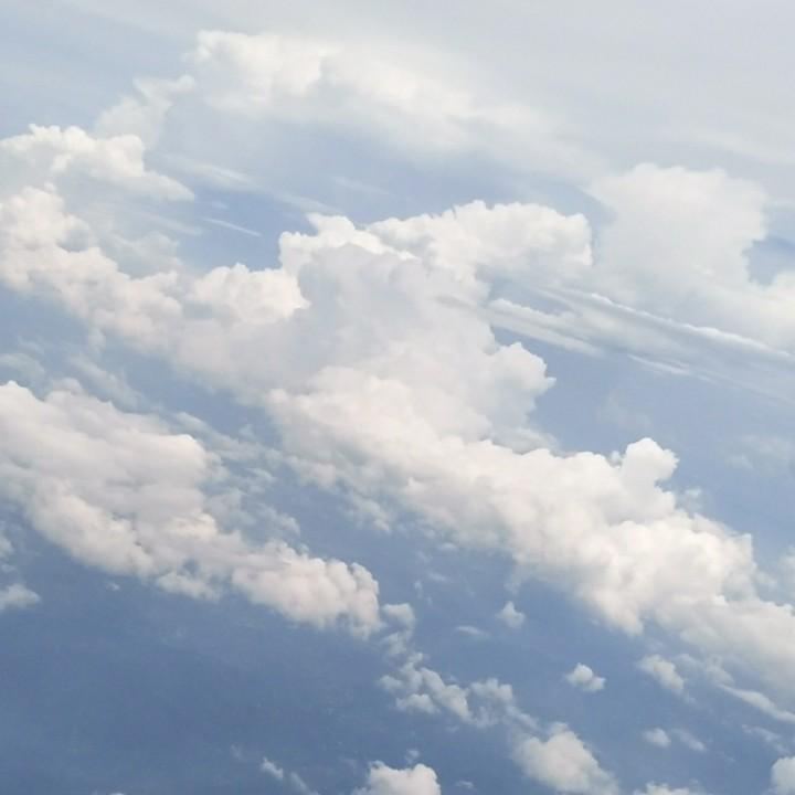 爱你的猪猪🐷🐷（拒私信 拒合拍）