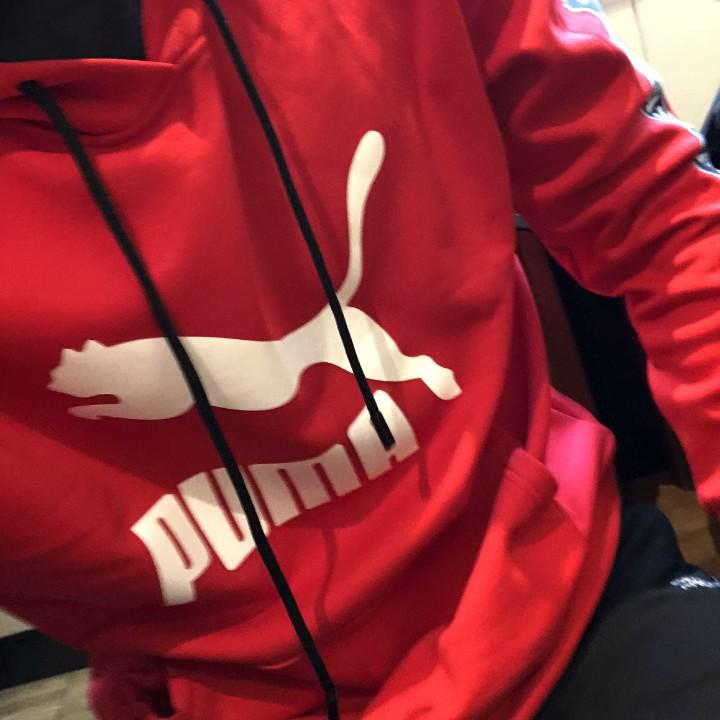 电力界彭于晏