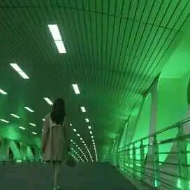 花儿 茉莉