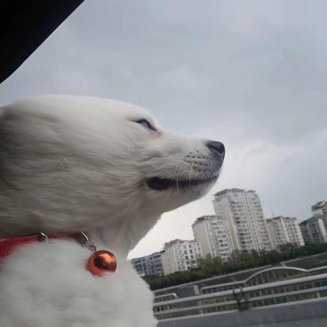 巨蟹♋唐