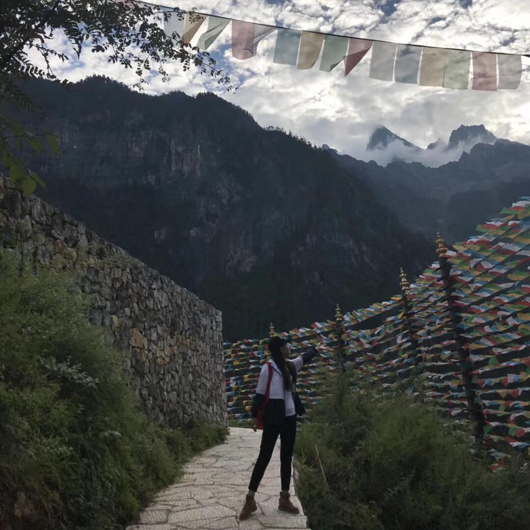 浦北老树柑茶行