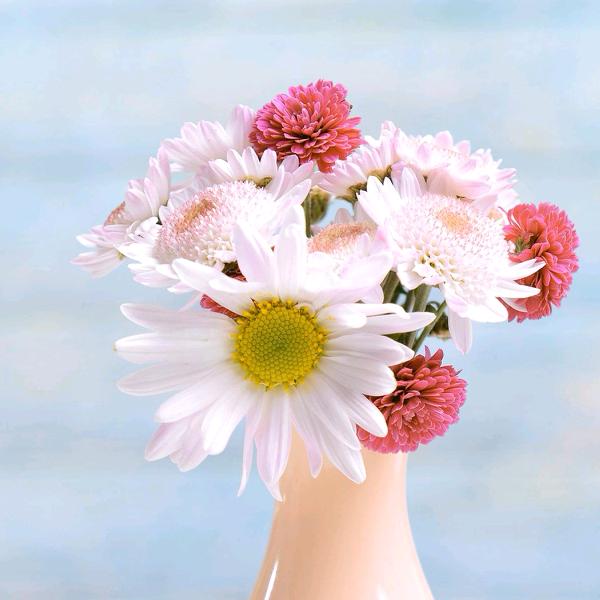 纵横四海240965662