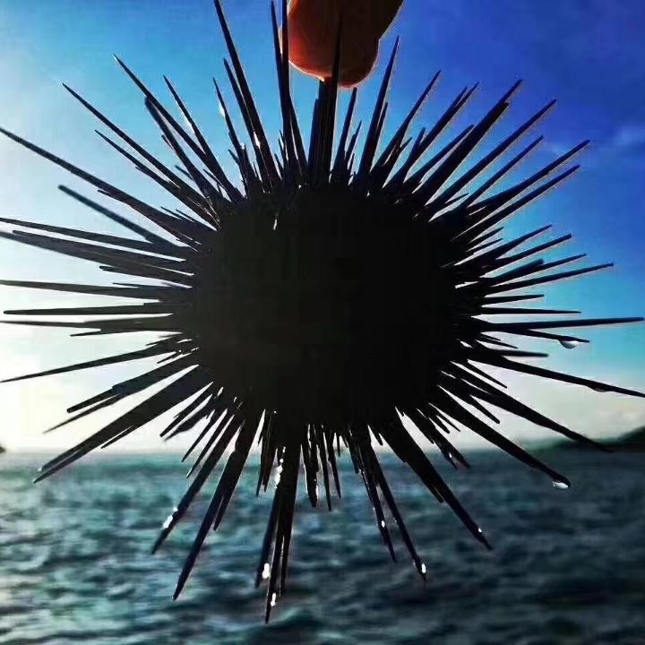 铨仔
