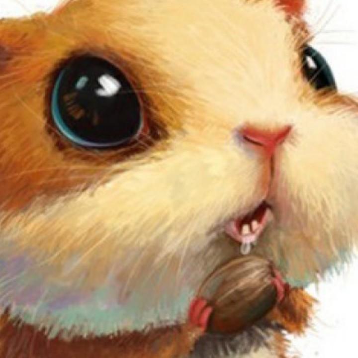咖啡不加糖