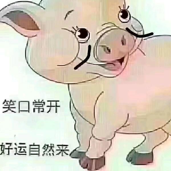 老十六