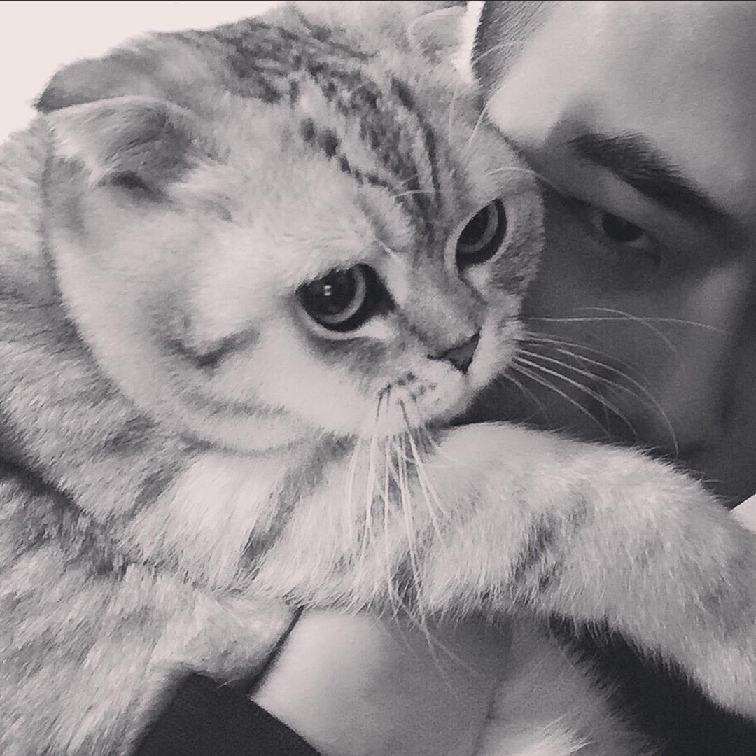 于涵