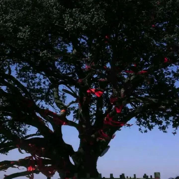 摩羯坐三峡