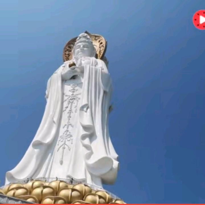 好想你姚师