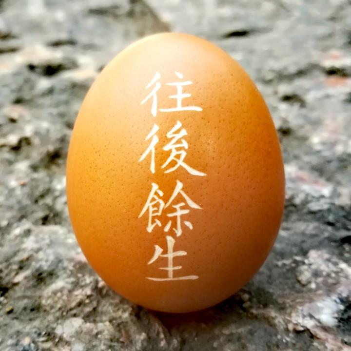 甲乙丙兴化螃蟹