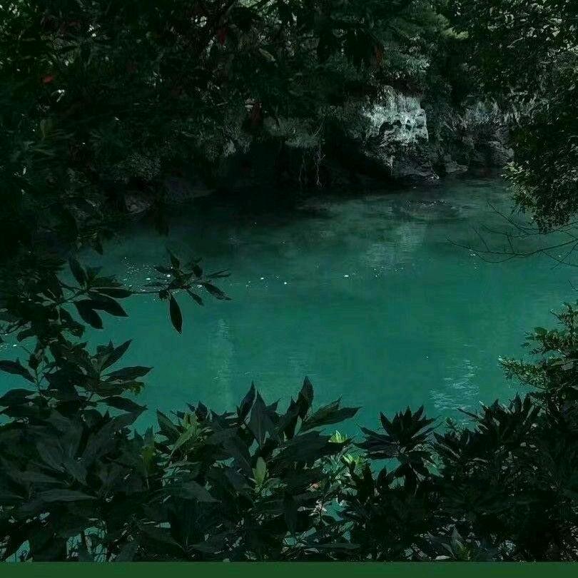 友付