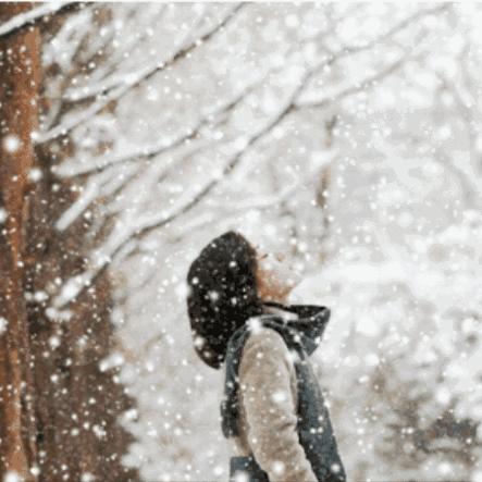 。雪儿