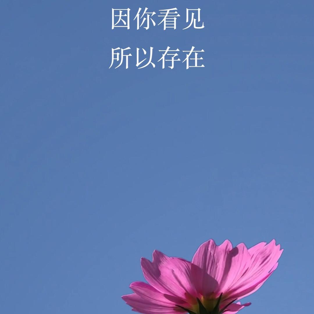 我就是我不一样的烟火