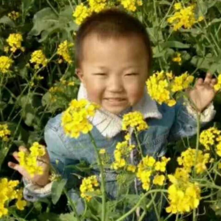 开心小贾哥