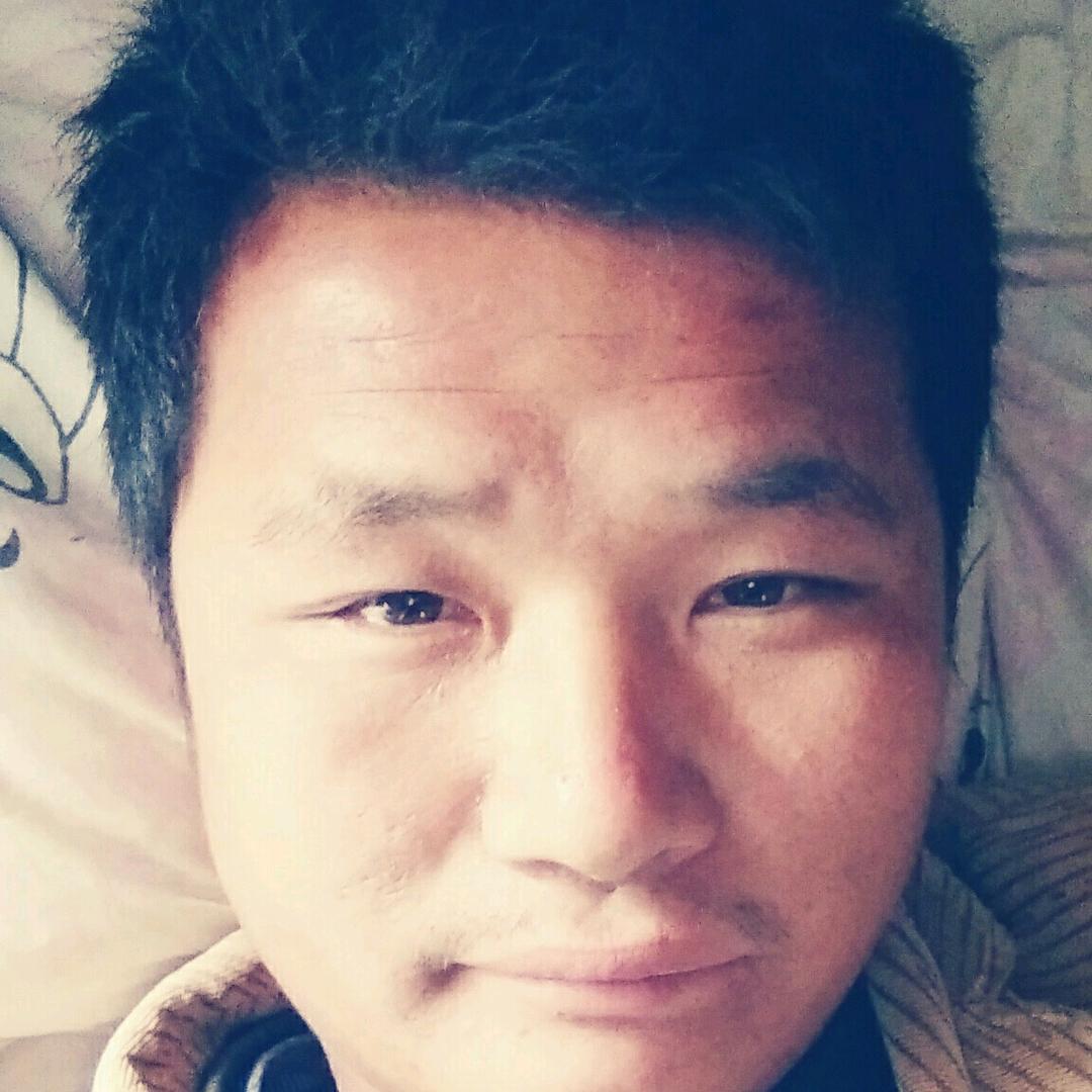 鸿雁