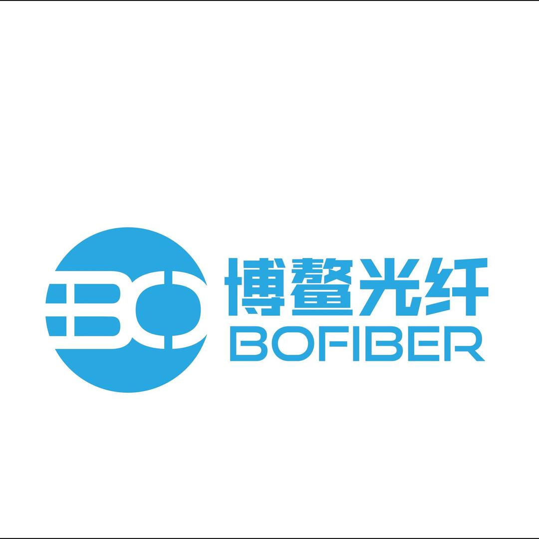 东莞朗颂光电