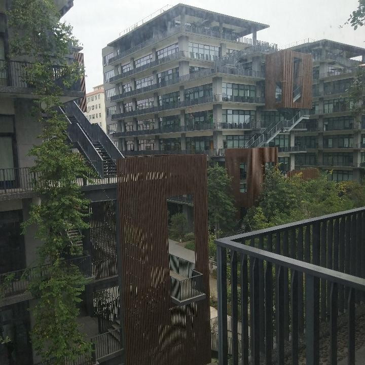 🌈我不是小菠菜