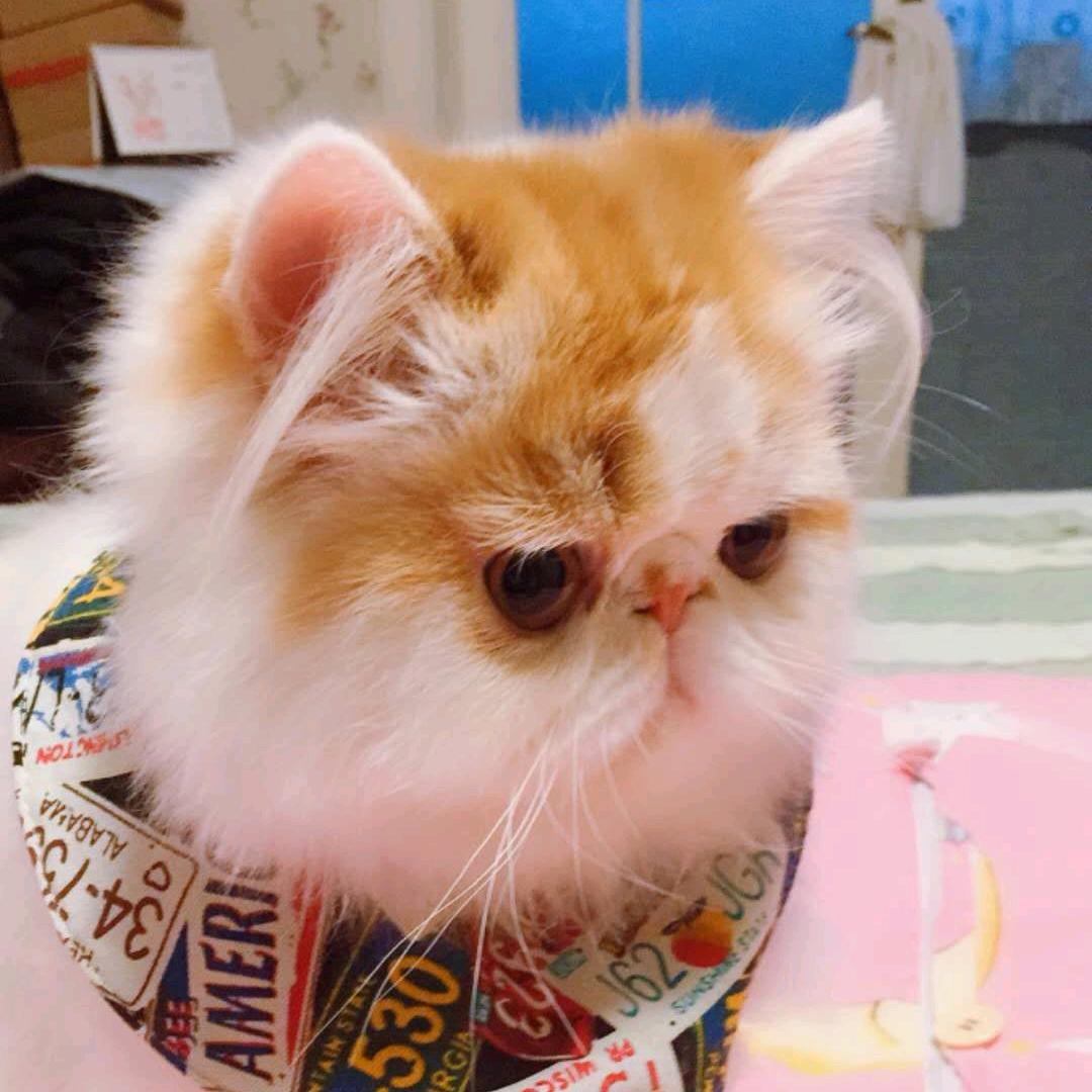 小七和空空的妈咪