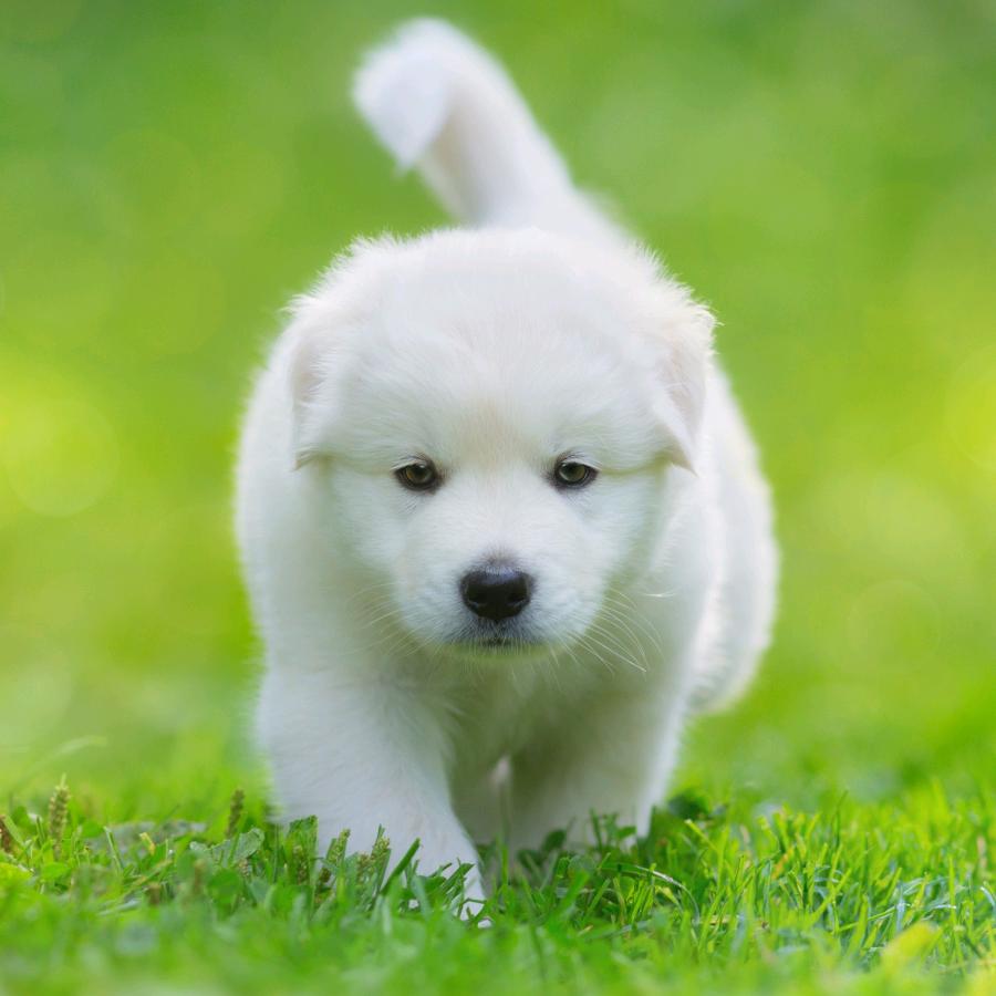 浪漫七夕✨⭐⭐⭐