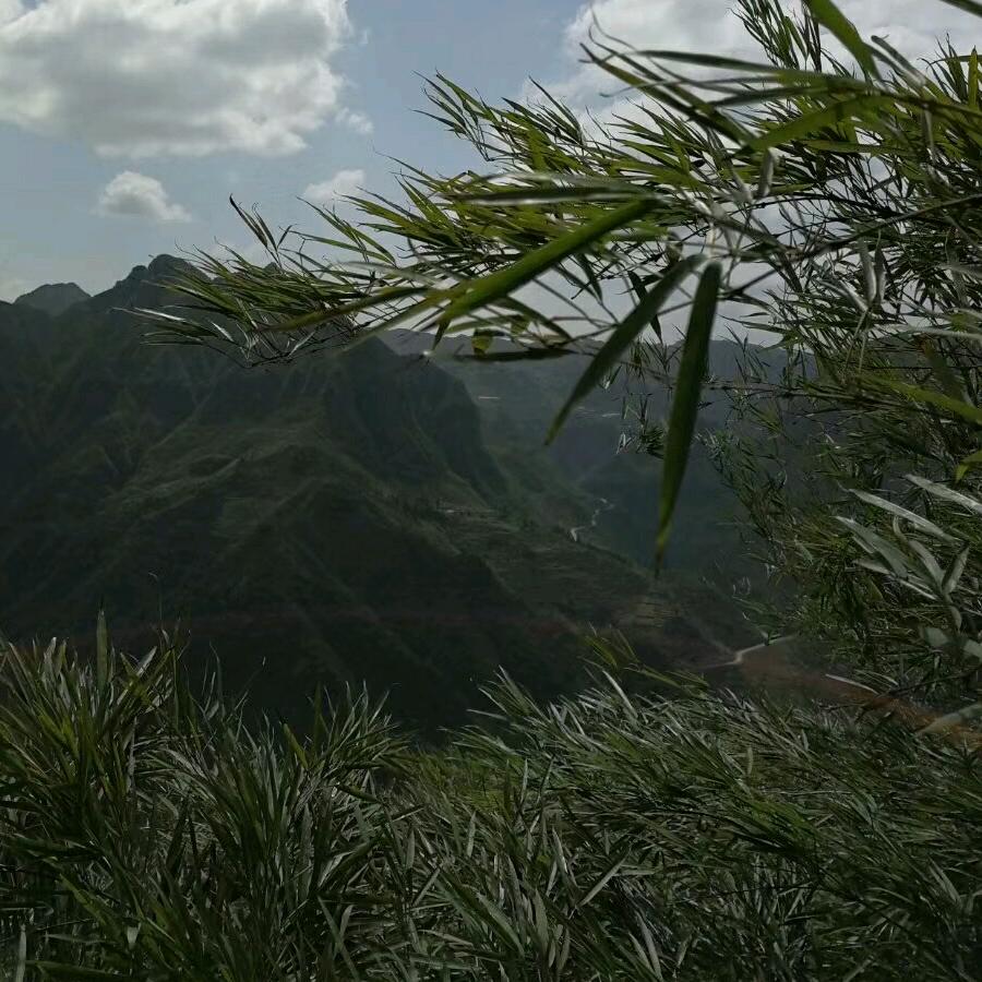 镇雄做家具的小杨哥