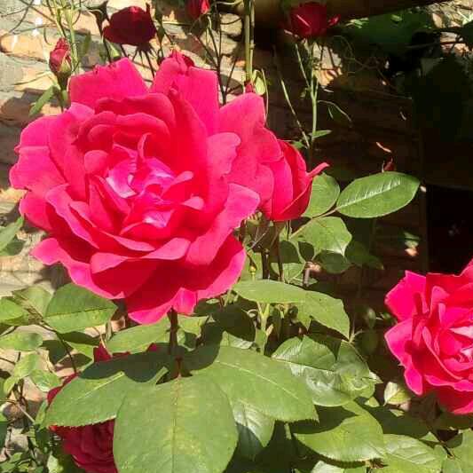 营盘街呈祥旅馆欢迎您