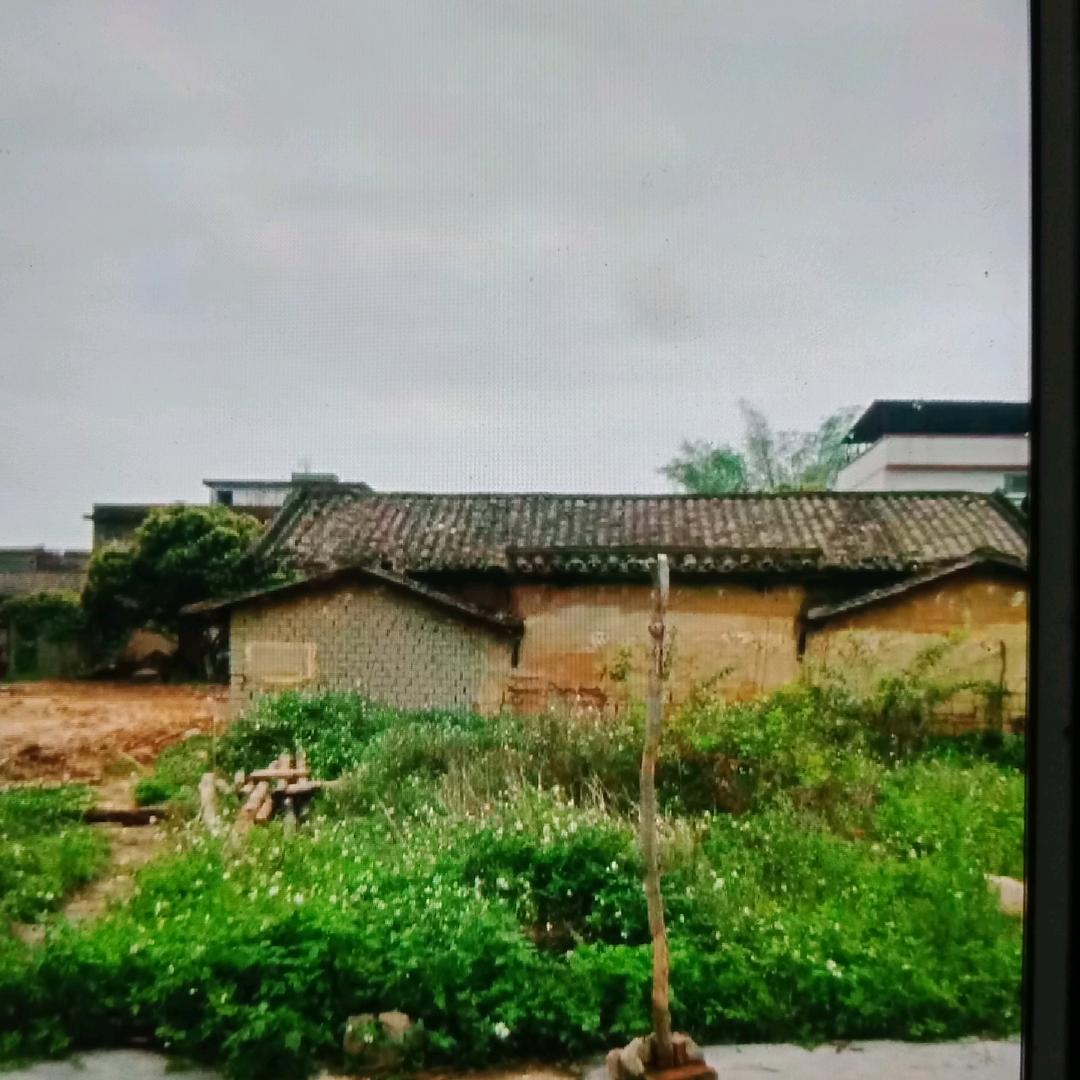 友谊