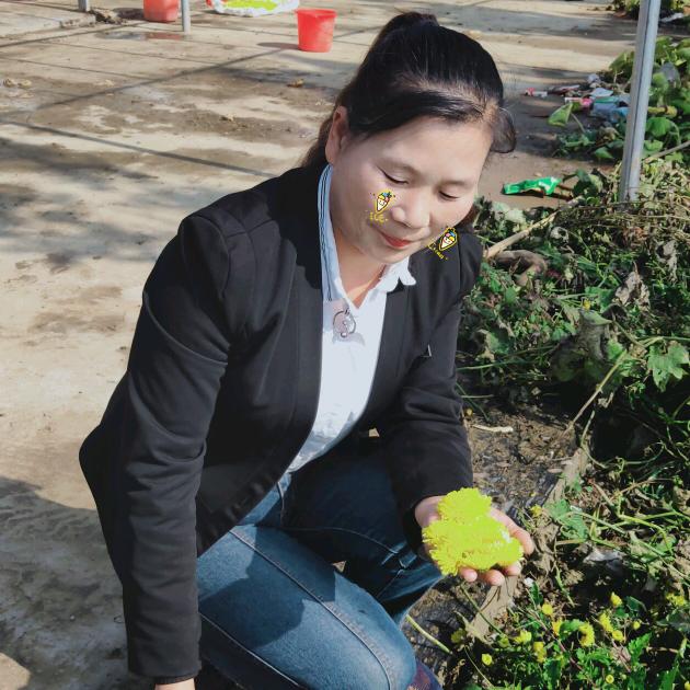 济宁市兖州区红樱桃果园