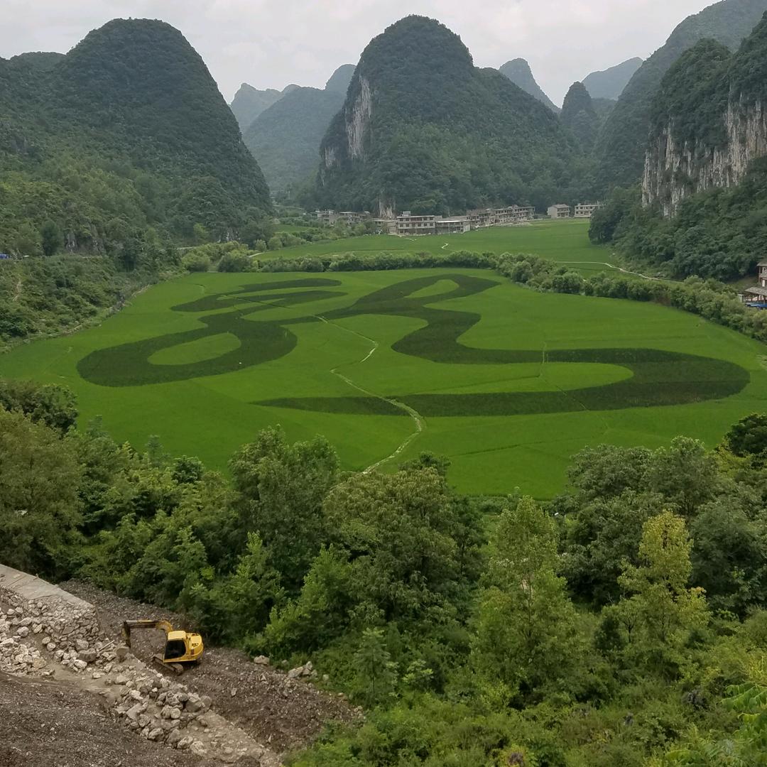 华仔
