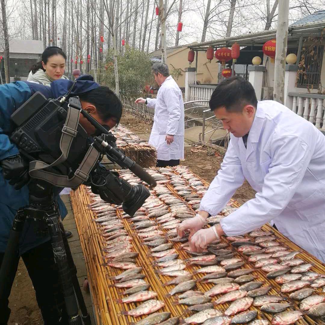 商丘陈家糟鱼