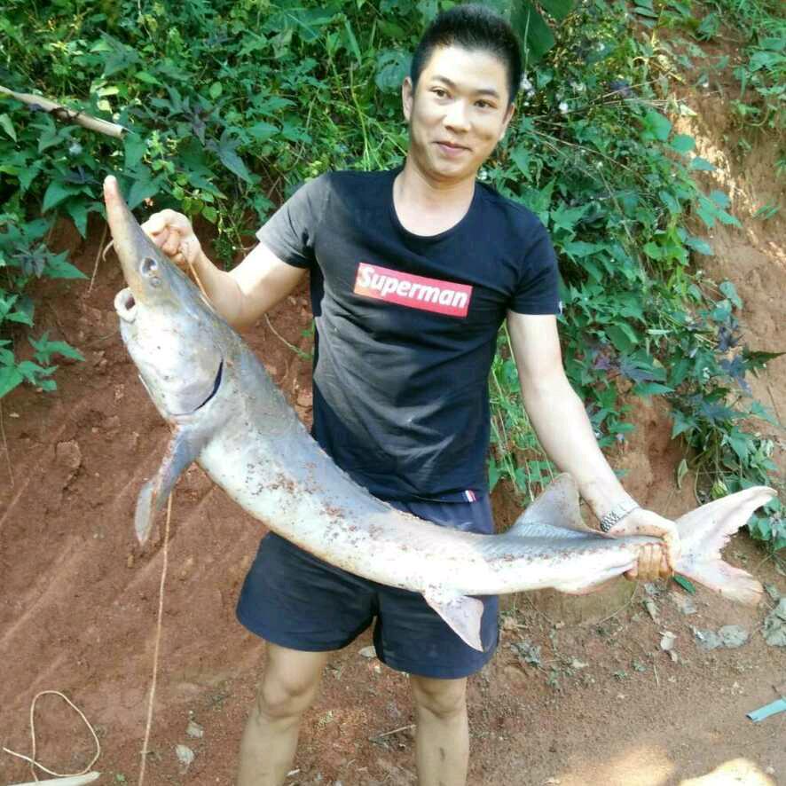 深情专一好男人